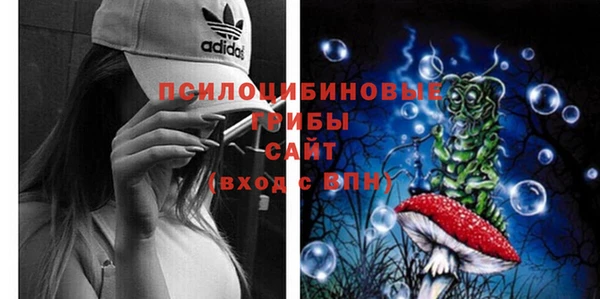 эйфоретик Аркадак